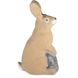 3D TARGET 3DI BUNNY