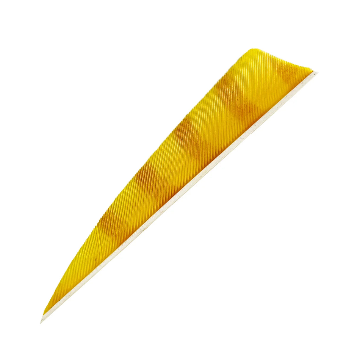 Bodnik Archery RW Shield Barred Naturfeder – einzeln