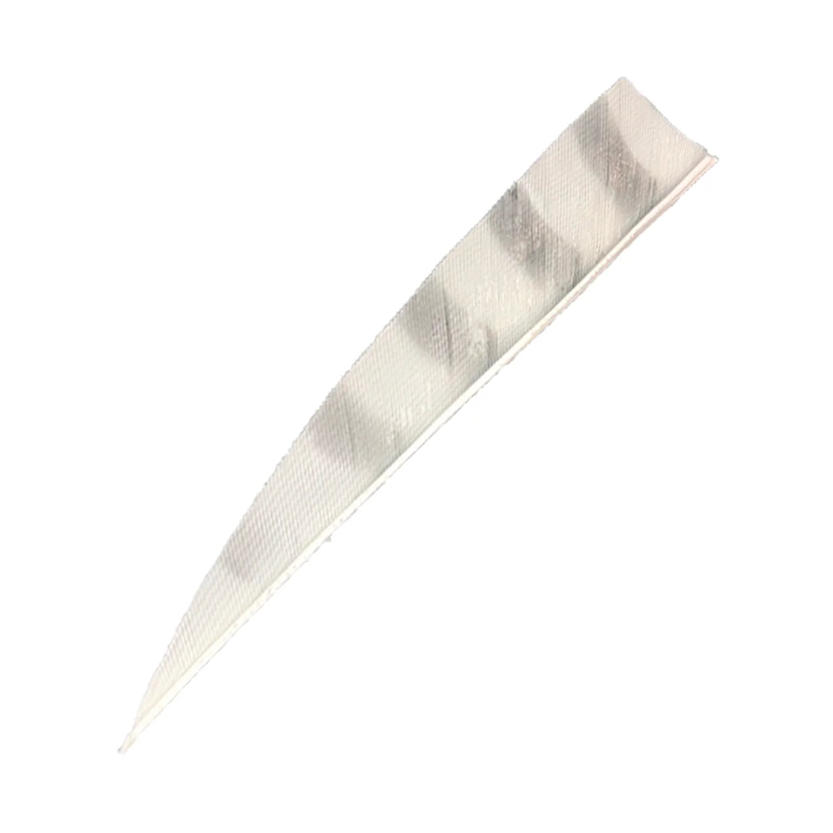 Bodnik Archery RW Shield Barred Naturfeder – einzeln