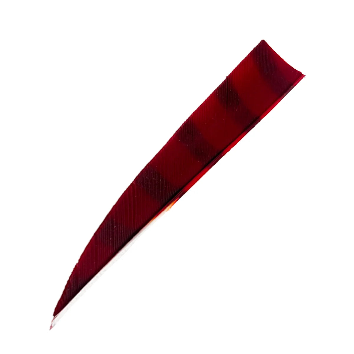 Bodnik Archery RW Shield Barred Naturfeder – einzeln
