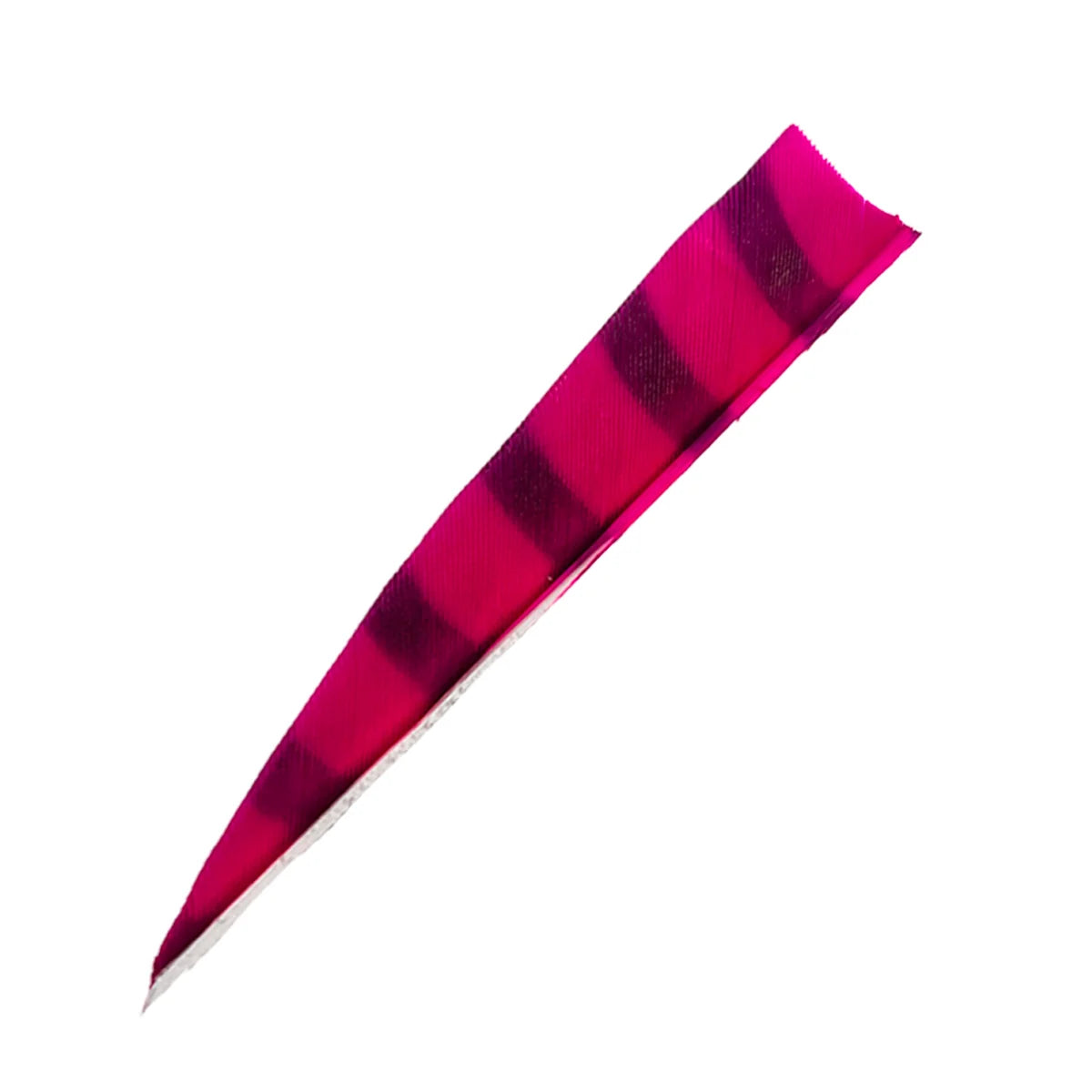 Bodnik Archery RW Shield Barred Naturfeder – einzeln