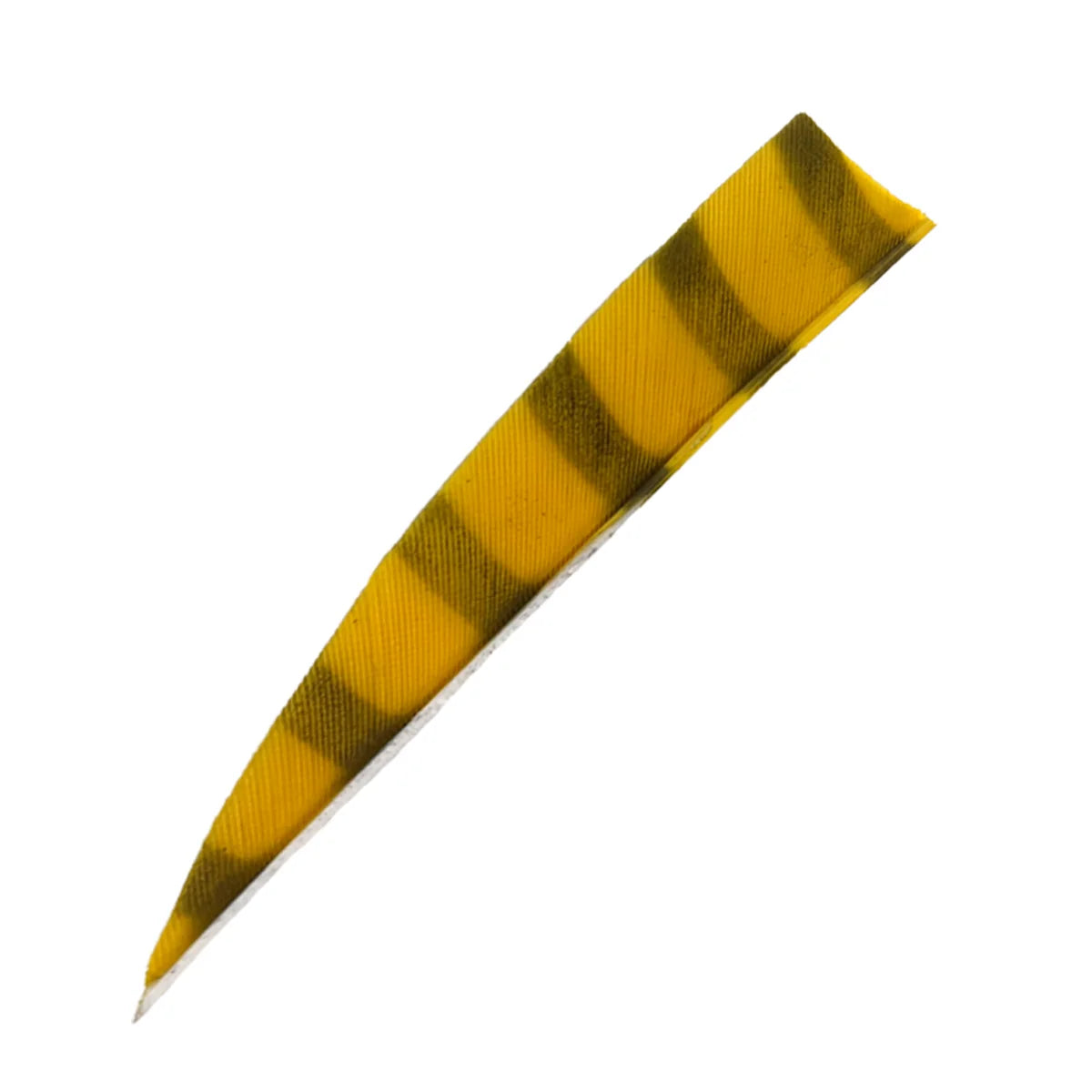 Bodnik Archery RW Shield Barred Naturfeder – einzeln