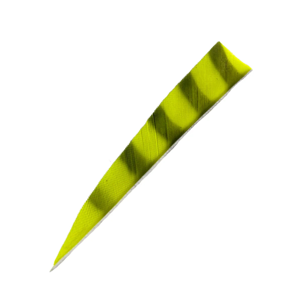 Bodnik Archery RW Shield Barred Naturfeder – einzeln