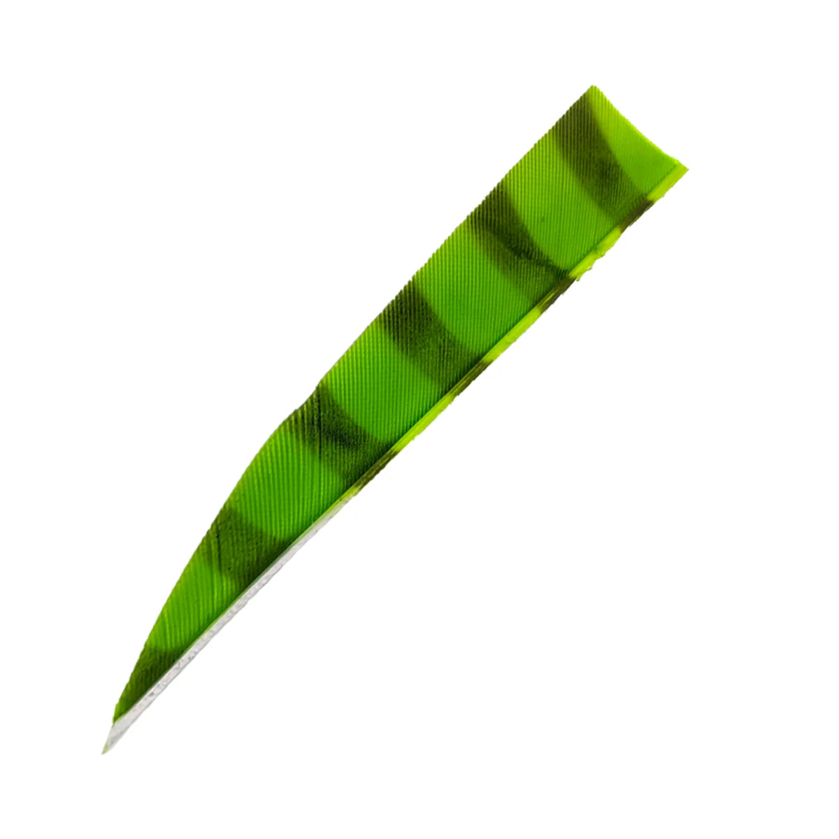 Bodnik Archery RW Shield Barred Naturfeder – einzeln