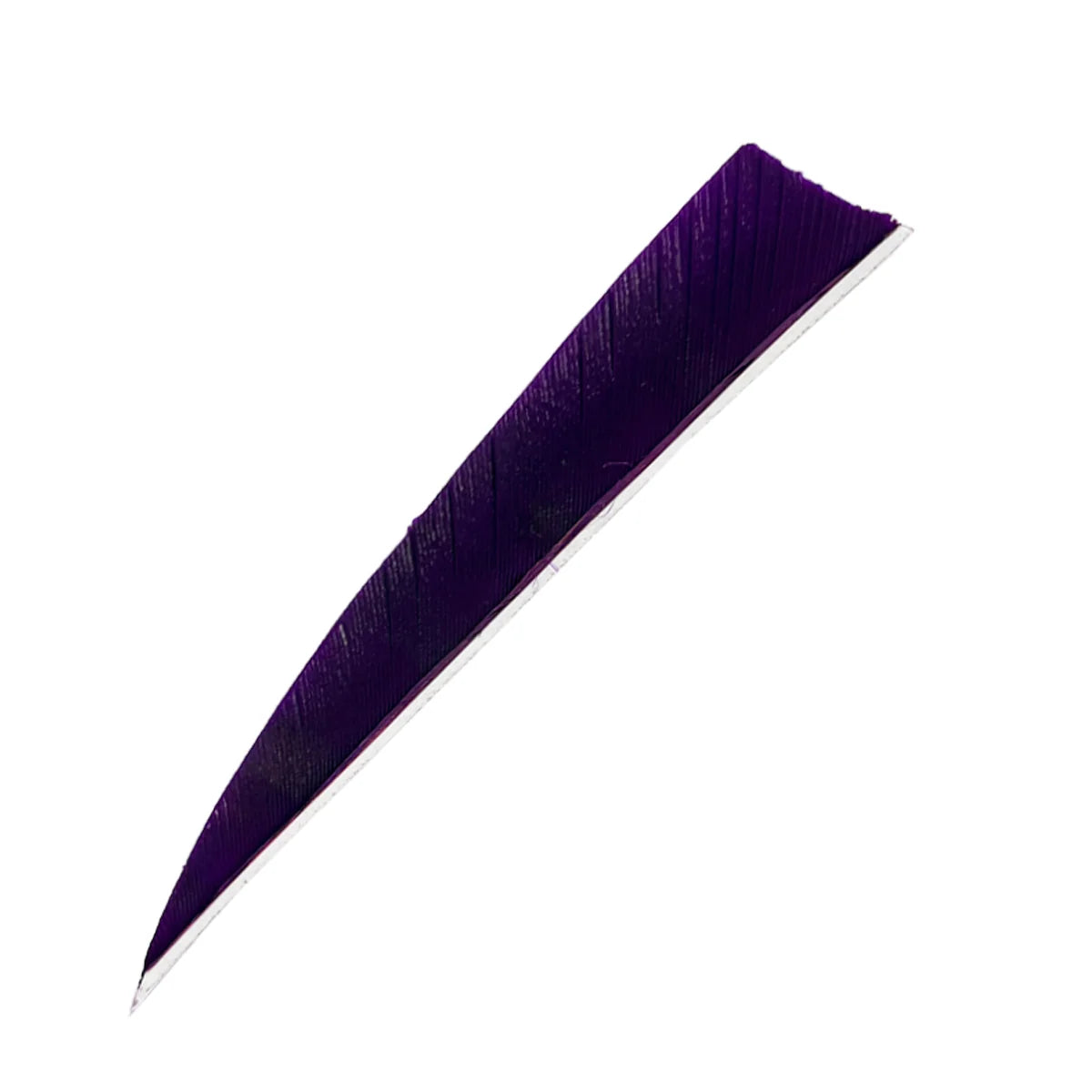 Bodnik Archery RW Shield Barred Naturfeder – einzeln