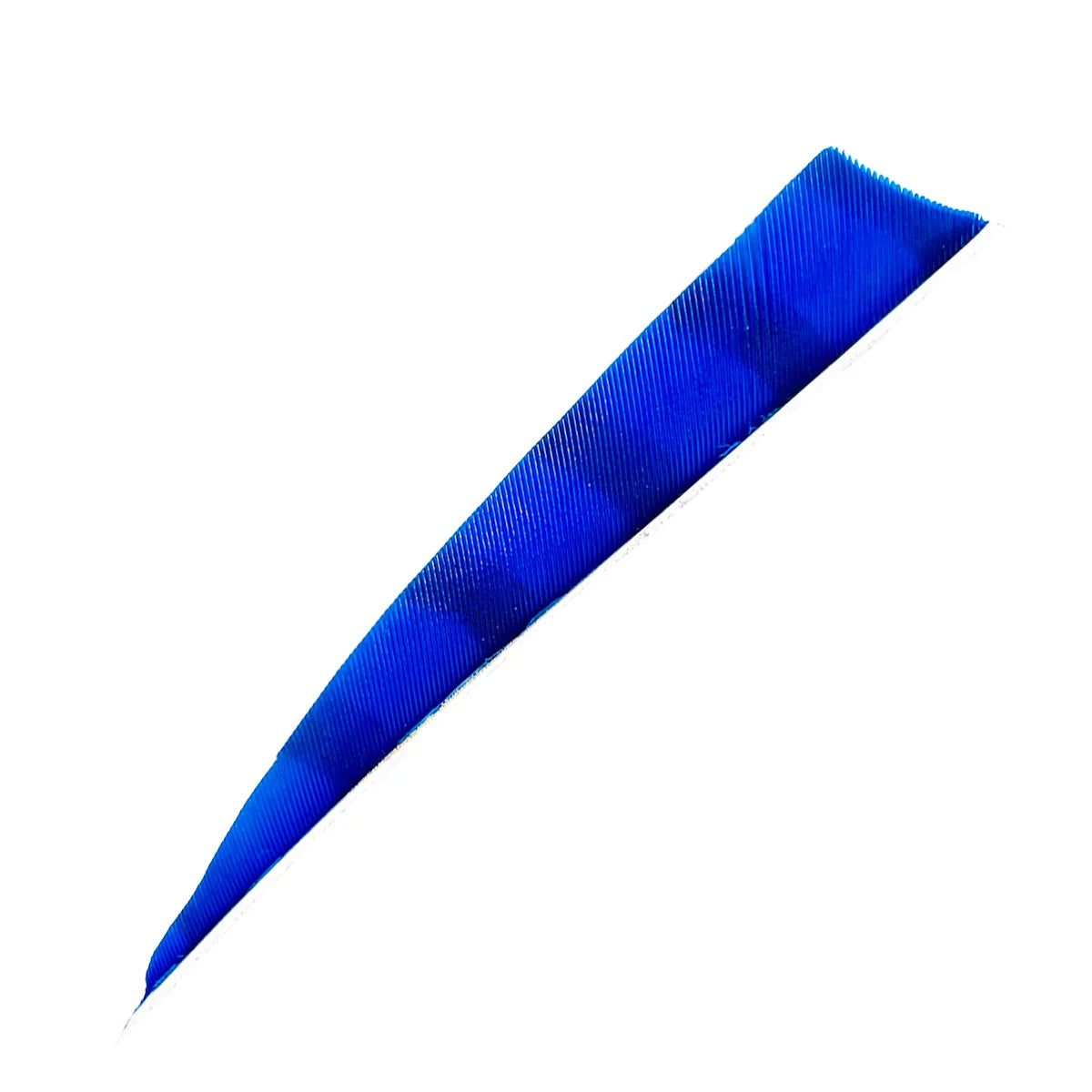 Bodnik Archery RW Shield Barred Naturfeder – einzeln