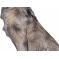 Booster 3D Tier Wolf