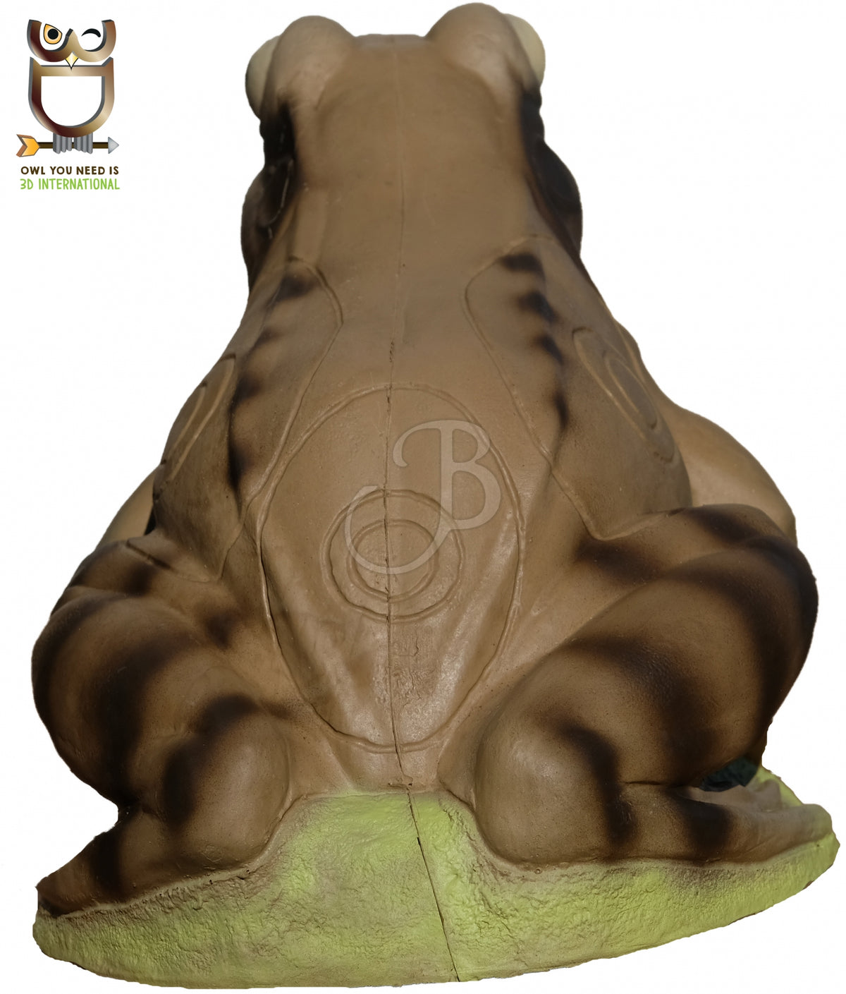 3Di 3D Target Frosch
